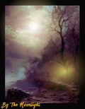 CREEPY MOON/FOG PICTURE